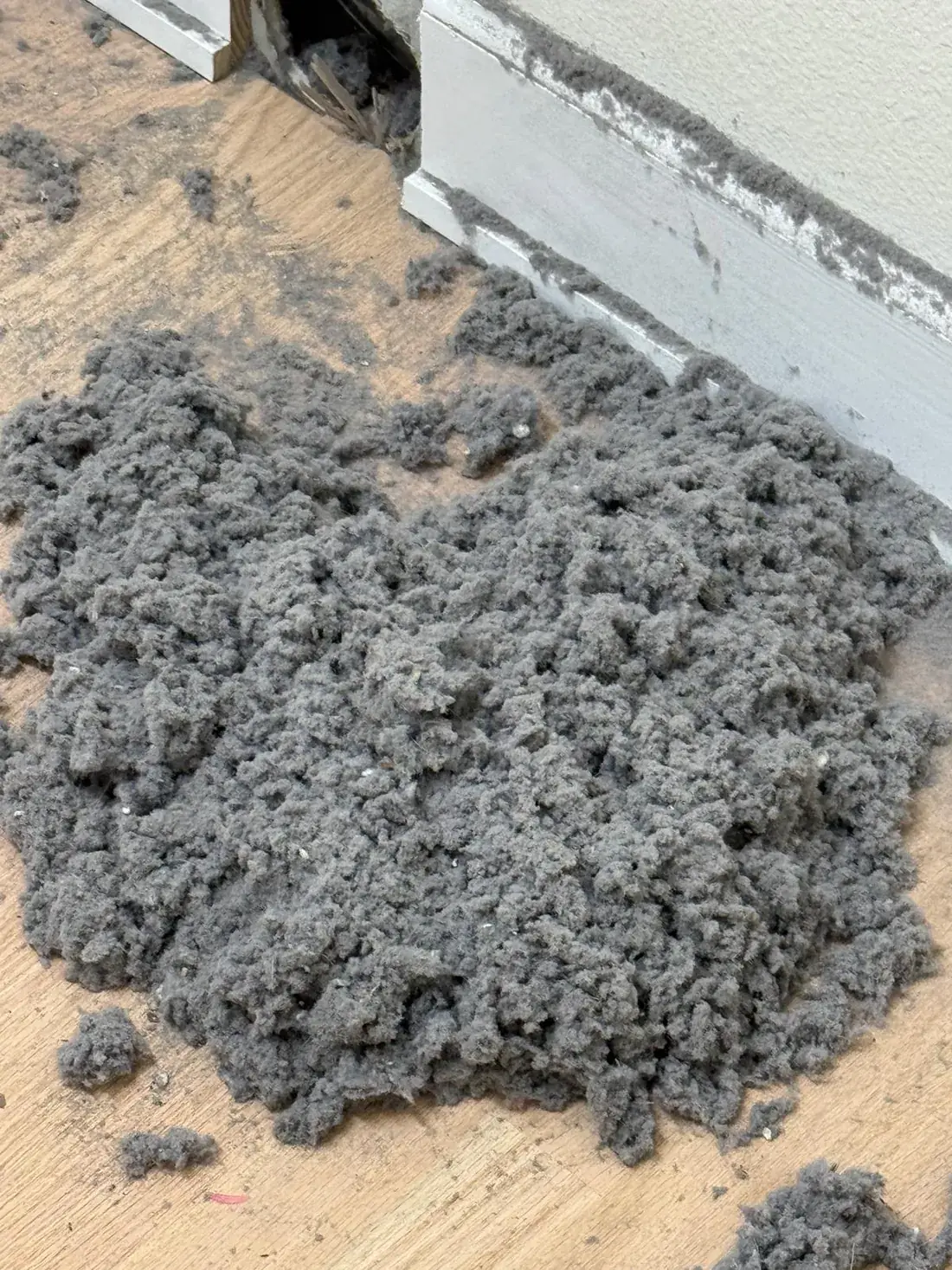 Dryer Vent Cleaning